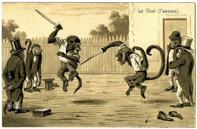 Duel de singes 1905